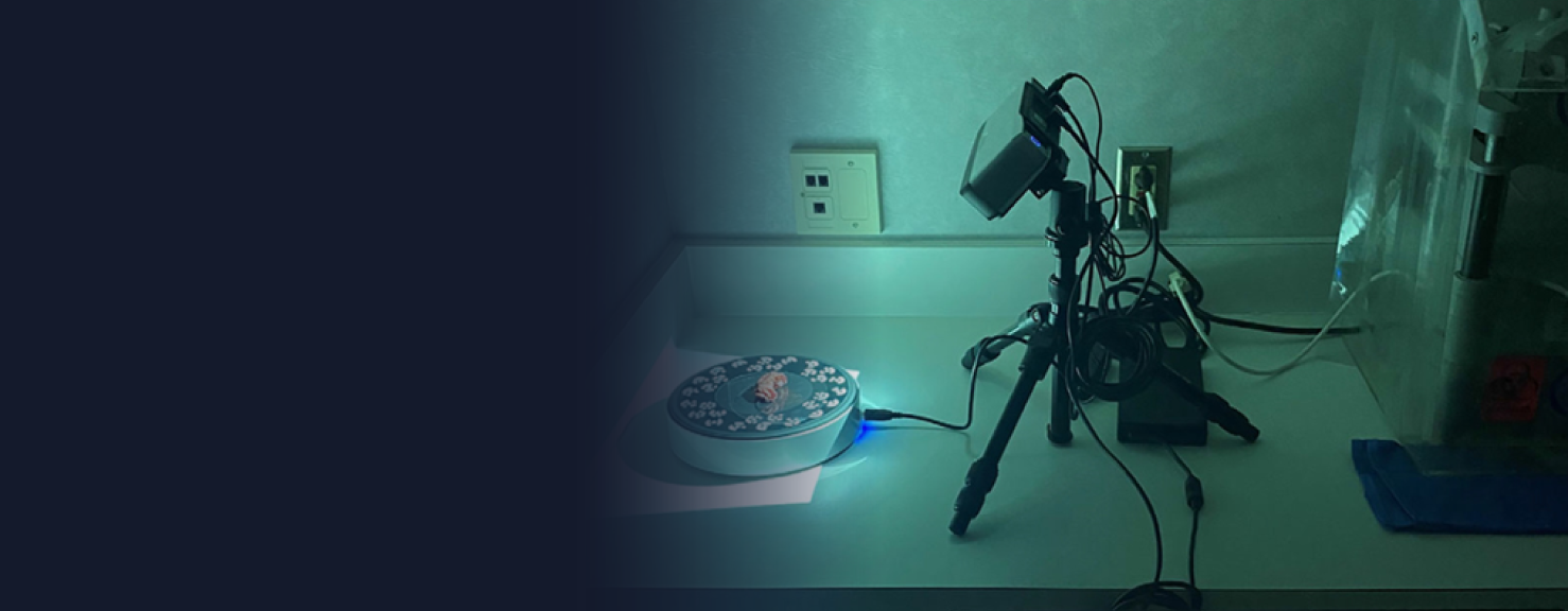 3D scanner setup during image acquisition with specimen on turntable