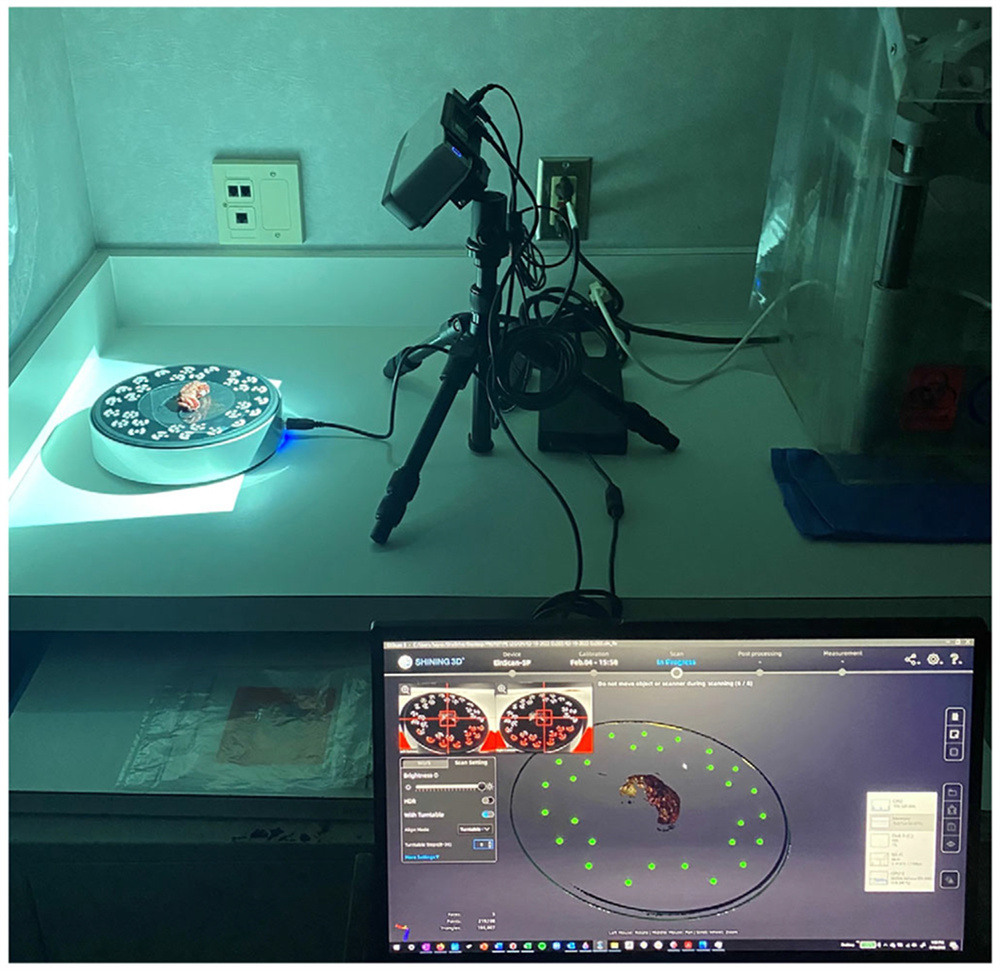 3D scanner setup during image acquisition with specimen on turntable