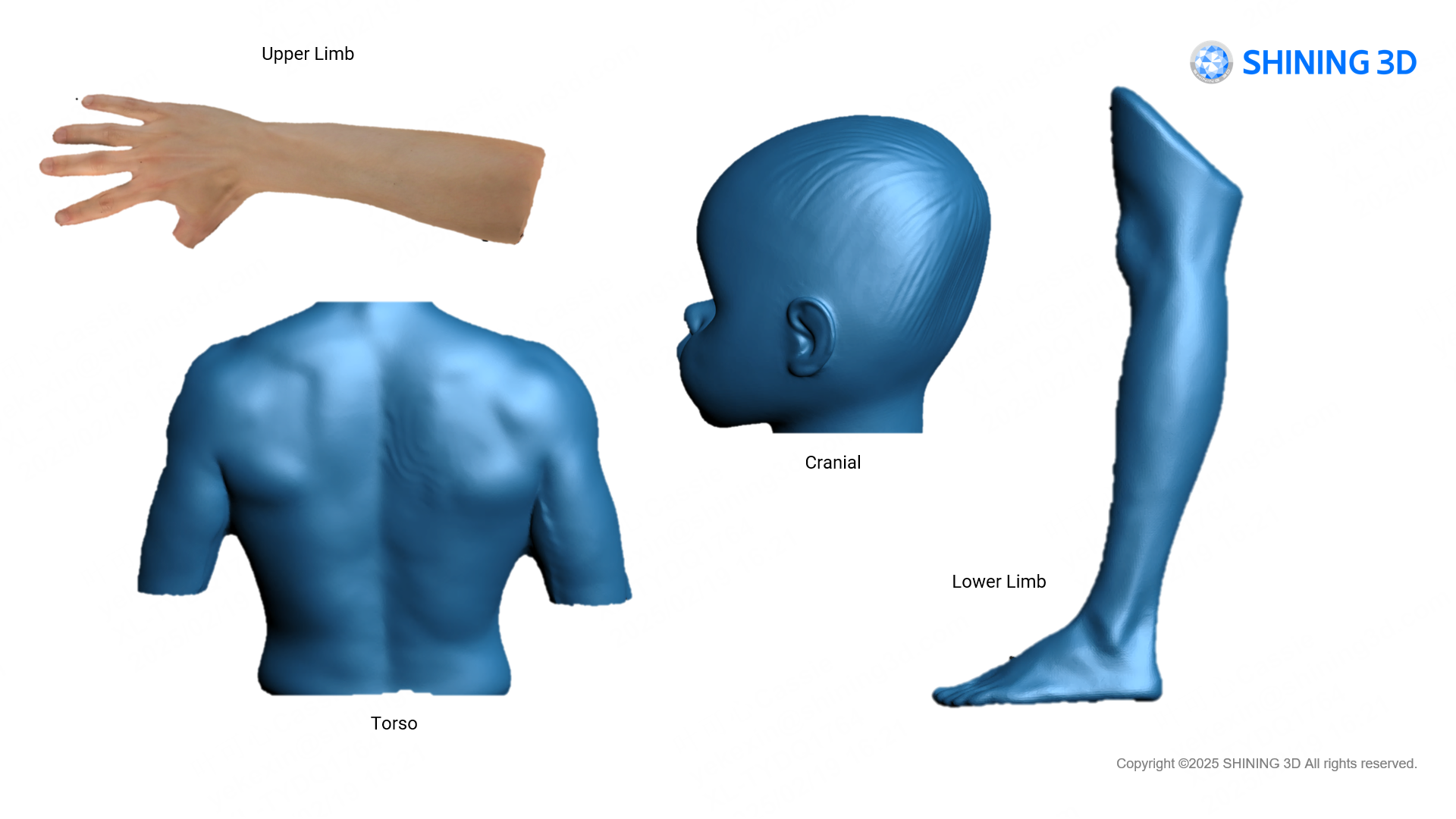 Sortie de données 3D de haute qualité